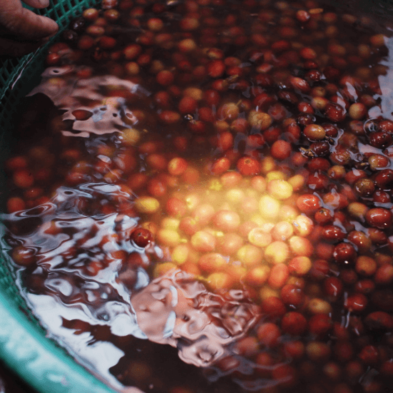 Dây chuyền sản xuất hiện đại