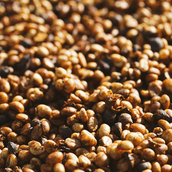 Khu vực đóng gói sản phẩm