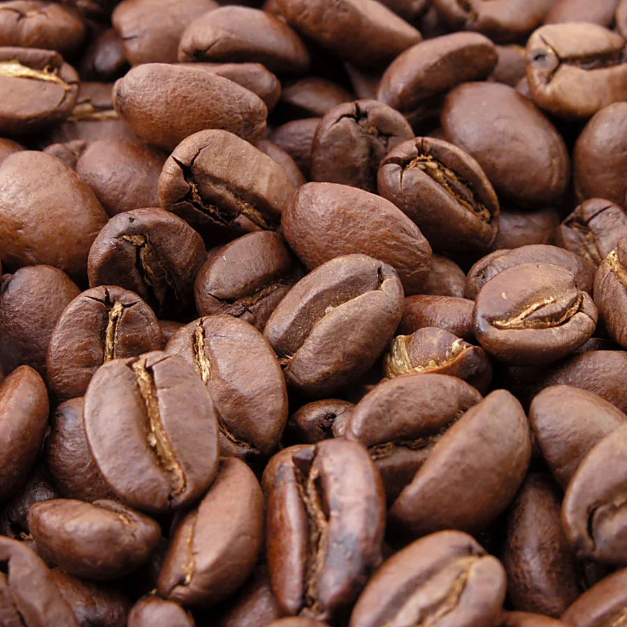 Robusta S16