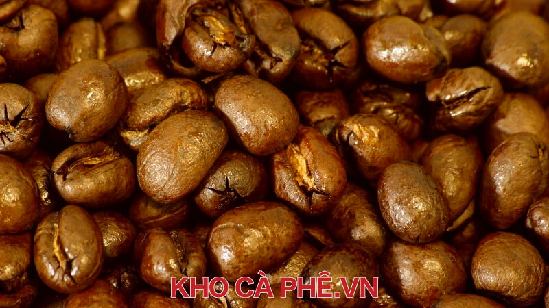 Khám phá độ tươi của cà phê – Coffee Freshness...