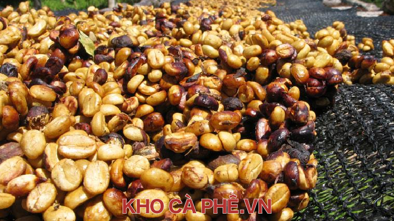 Kỹ thuật chế biến mật ong (chế biến bán...