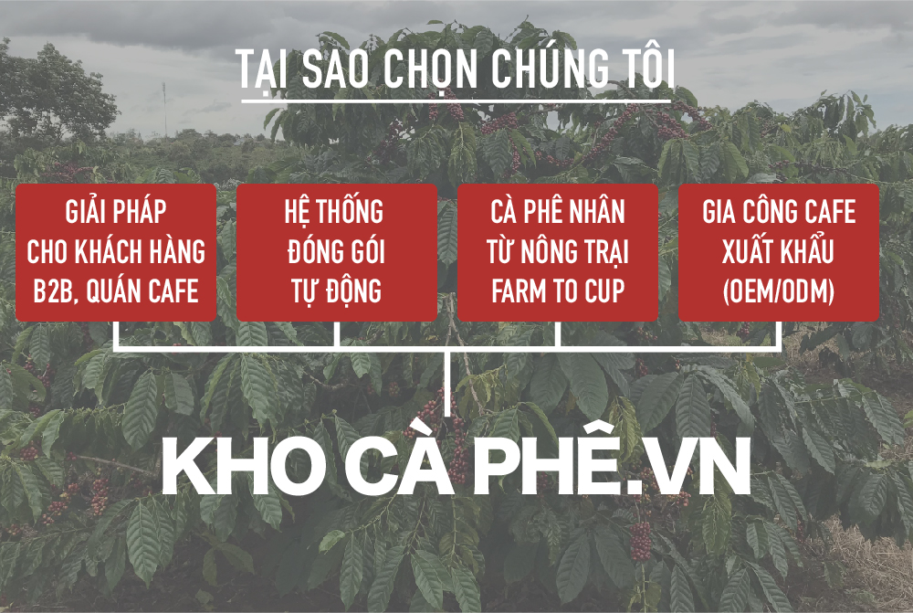 BẢNG GIÁ RANG GIA CÔNG CÀ PHÊ CHUẨN CHẤT LƯỢNG...