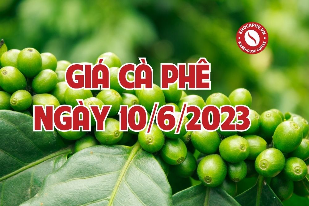 Cập nhật giá cà phê ngày 10/6/2023