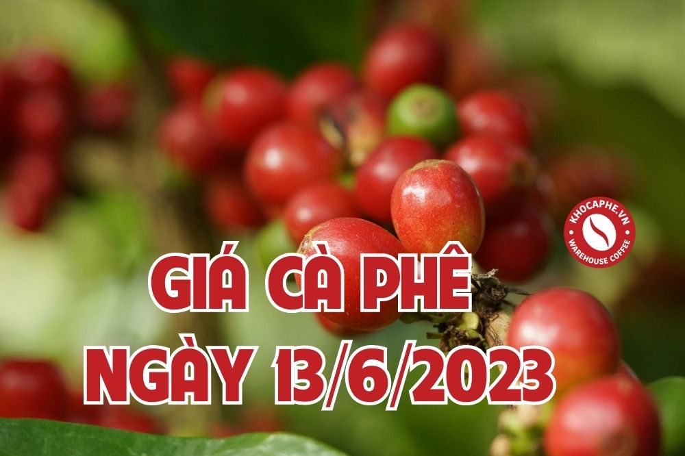 Cập nhật giá cà phê hôm nay ngày 13/6/2023 giá...