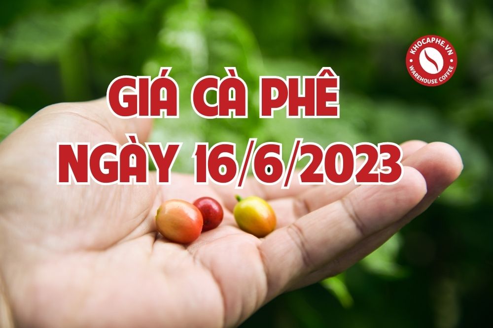 Cập nhật giá cà phê ngày 12/6/2023 - Tăng nhẹ...