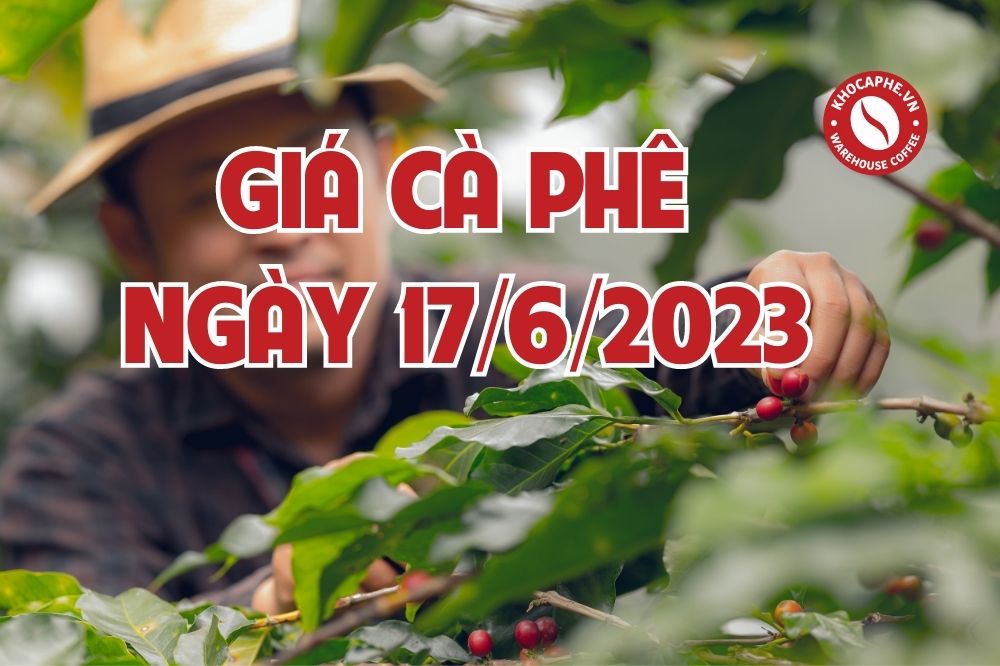 Cập nhật giá cà phê ngày 12/6/2023 - Tăng nhẹ...