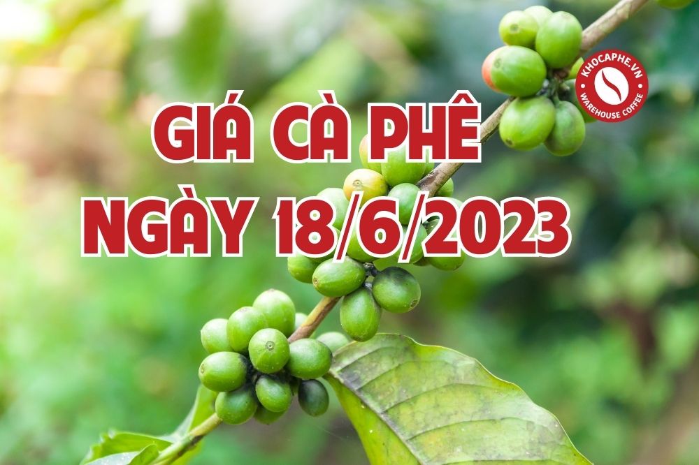 Cập nhật giá cà phê hôm nay ngày 18/6/2023