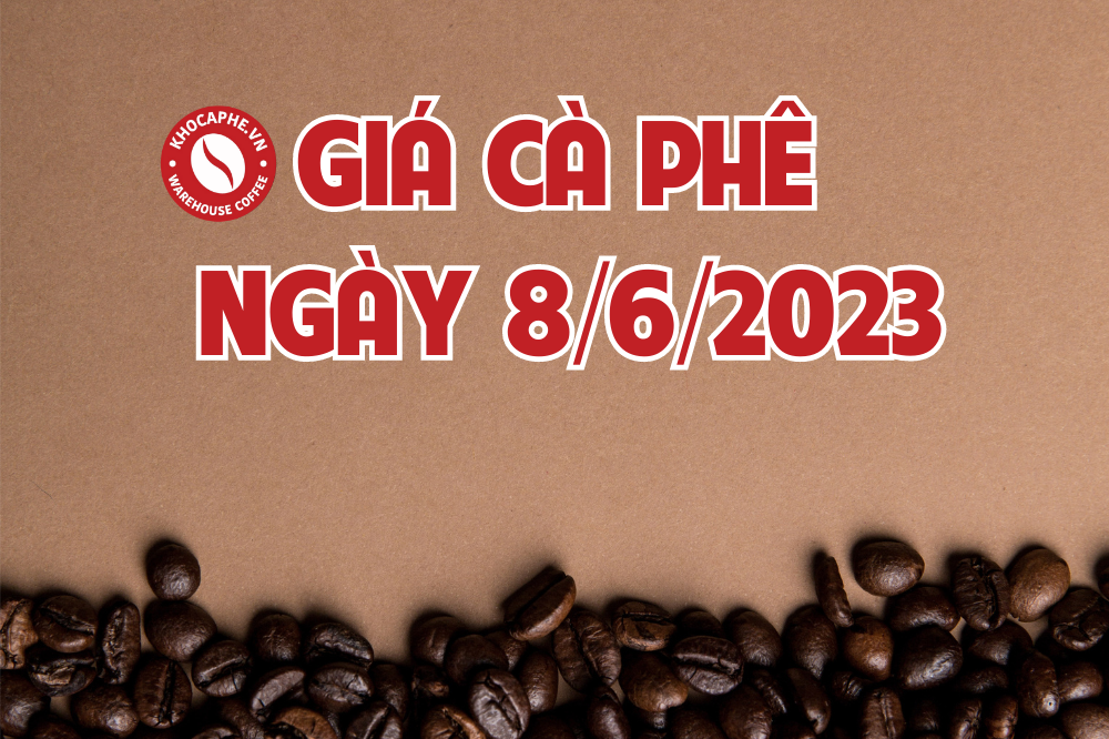 Cập nhật giá cà phê ngày 8/6/2023