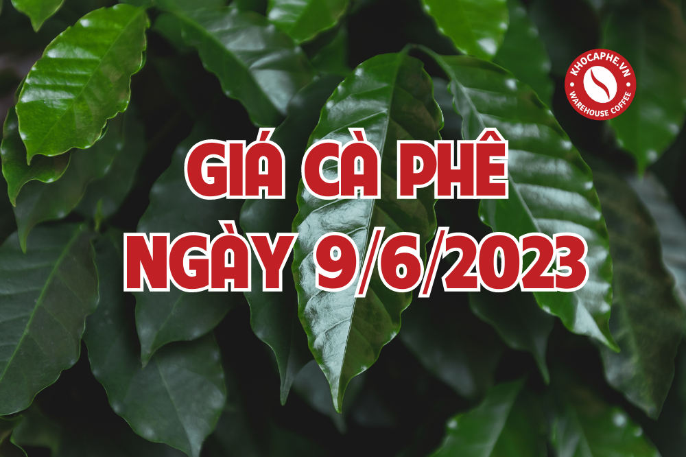 Cập nhật giá cà phê ngày 9/6/2023