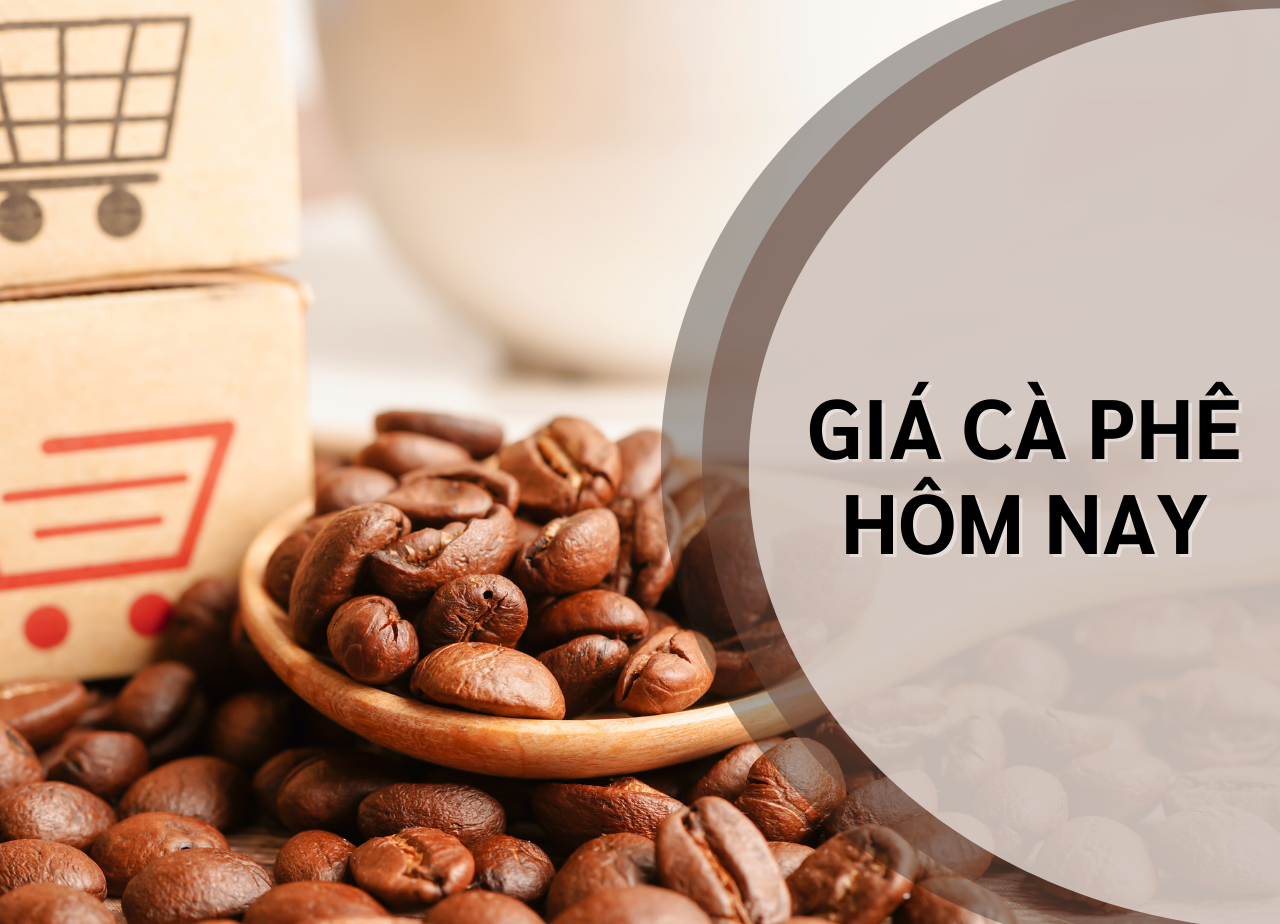 Giá cà phê thế giới hôm nay 3/1/2025: Tăng phi mã...